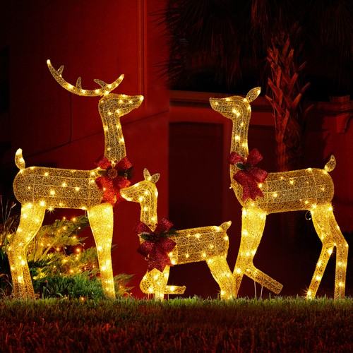 Set lighted christmas - 3,