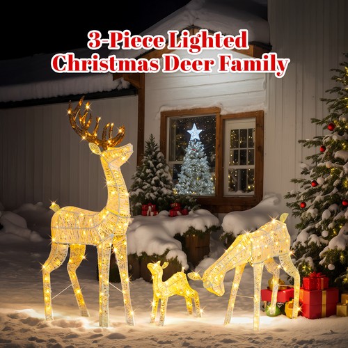 Set lighted christmas - of,