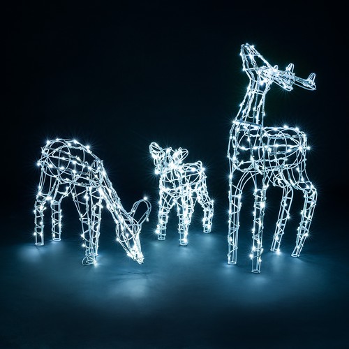 Light reindeer family - light,