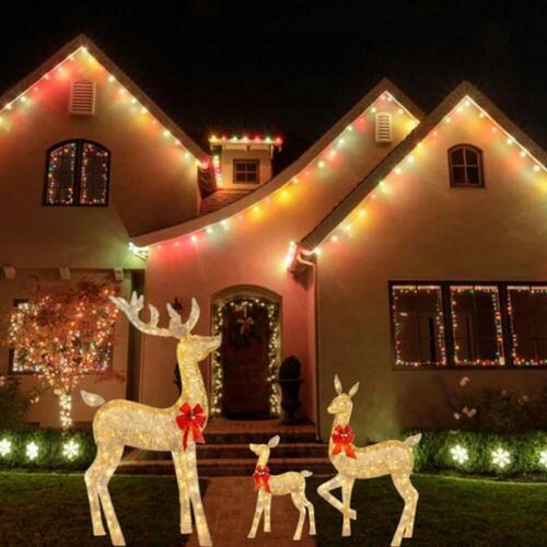 Christmas light deer ornament - deer,