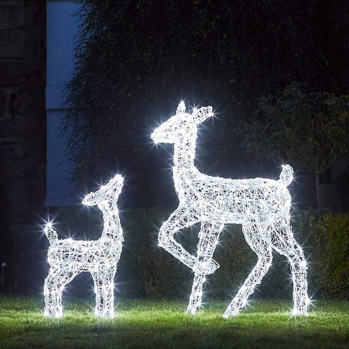 Christmas outdoor reindeer - reindeer, doe
