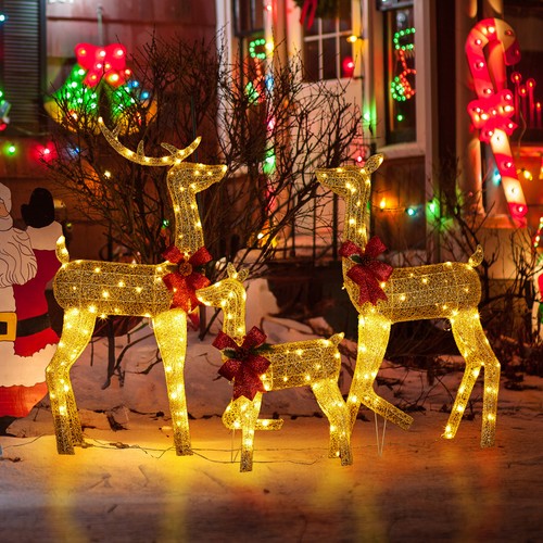 Set led lighted christmas - 3,