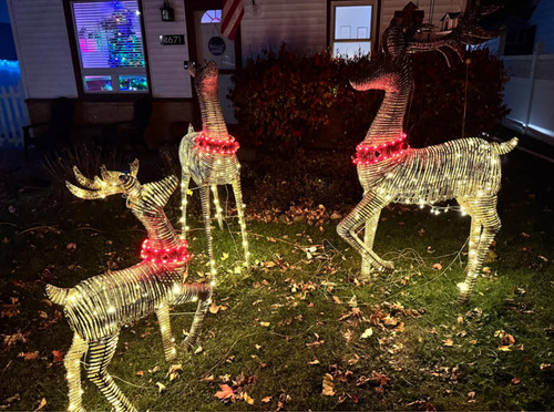 Outdoor christmas reindeer - outdoor,