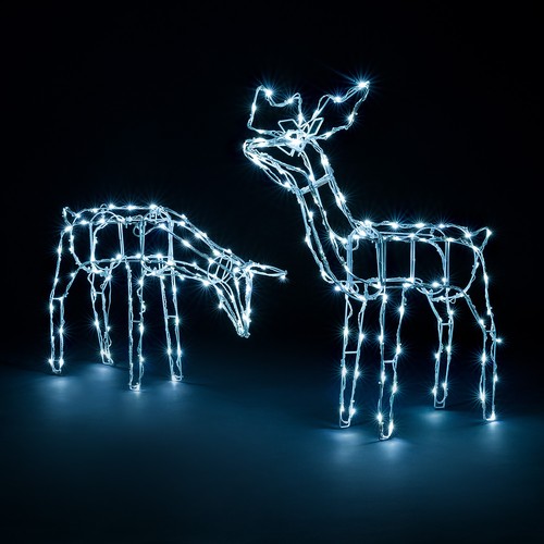 Light reindeer outdoor - reindeer,