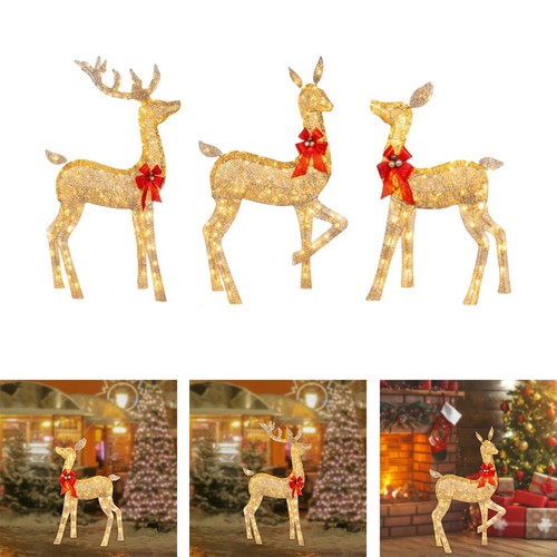 Outdoor lighted glowing - outdoor,