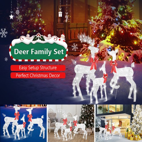 Christmas reindeer buck - christmas, doe