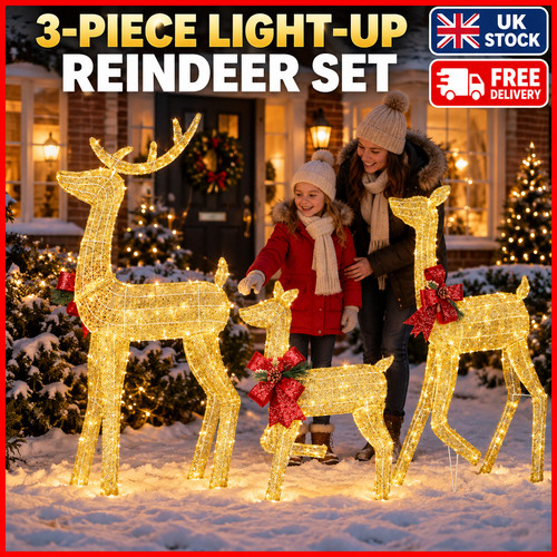 3pc lighted christmas - 3pc,
