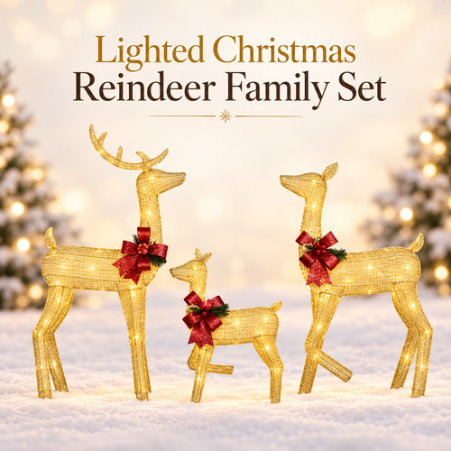 Lighted christmas reindeer - christmas,