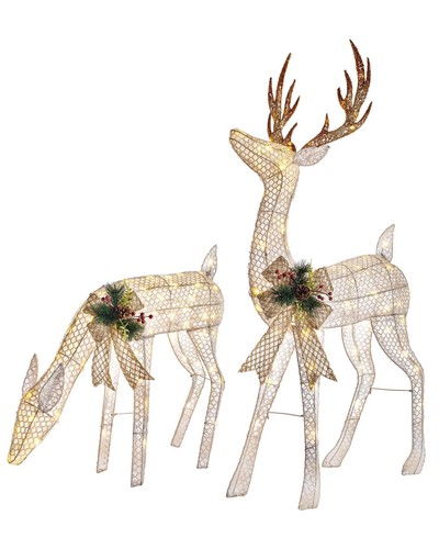 Pre lit reindeer pair led - 3d,