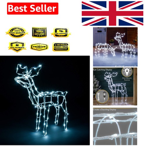 Christmas reindeer light - christmas,