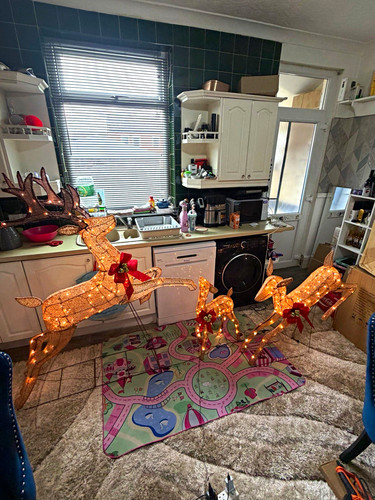 Set christmas reindeer - set,