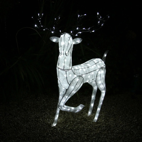 Outdoor reindeer christmas - outdoor,