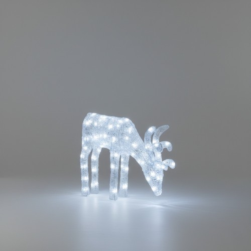 60cm acrylic white led deer - 60,