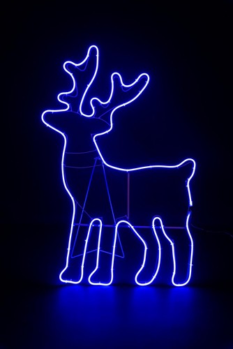 Neon rope light silhouette - neon,